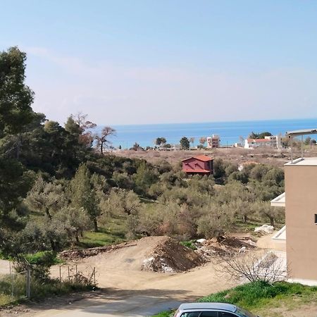 Villa Theasis1 Neos Marmaras Esterno foto